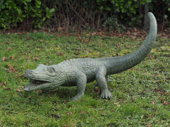 Statuie aligator, Bronz, 60 X 42 X 120 cm