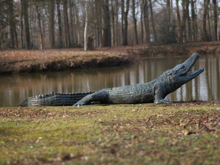 Statuie aligator, Bronz, 75 X 117 X 300 cm