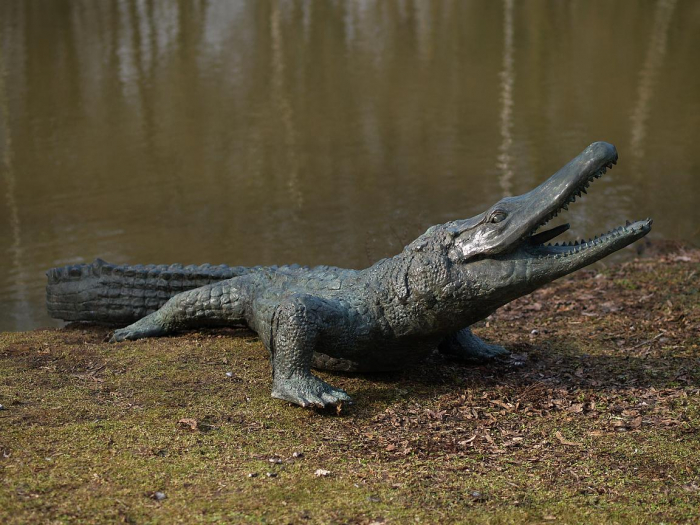 Statuie aligator, Bronz, 75 X 117 X 300 cm [2]