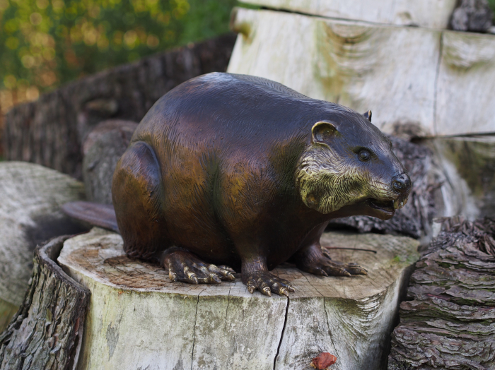 Statuie bursuc, Bronz, 22 X 25 X 70 cm [2]