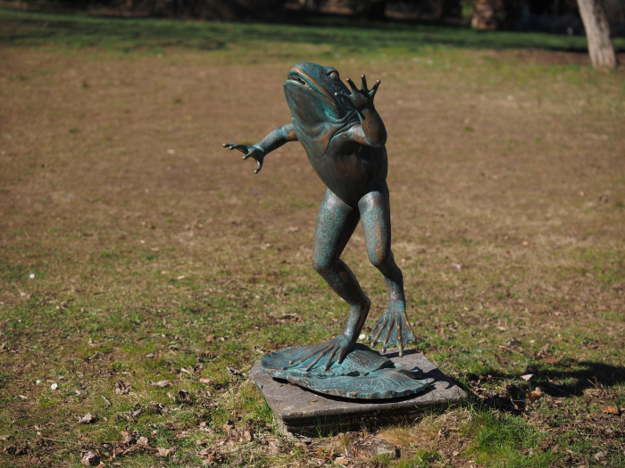 Statuie bronz, Broască săritoare  [7]