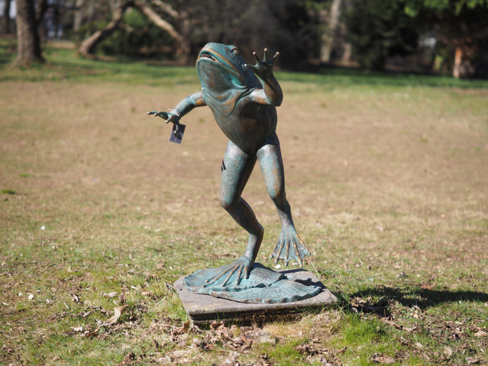 Statuie bronz, Broască săritoare  [2]