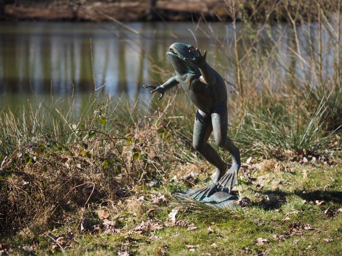 Statuie bronz, Broască săritoare  [3]