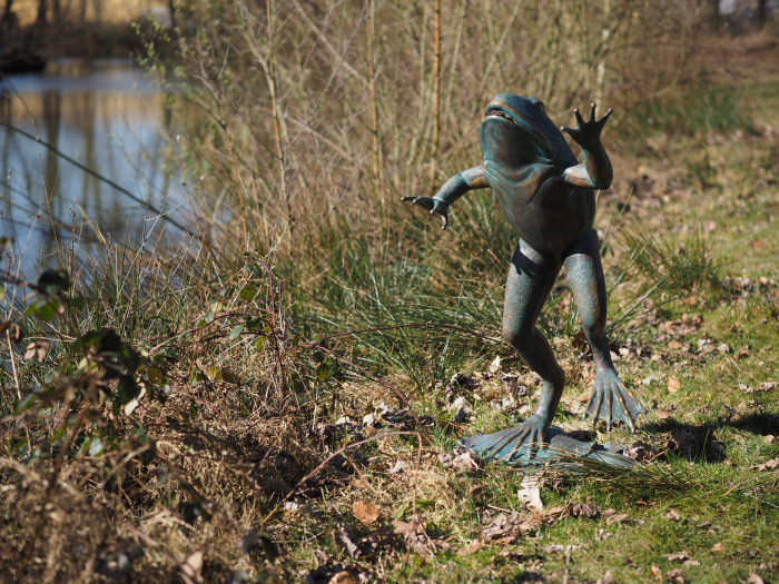 Statuie bronz, Broască săritoare  [6]