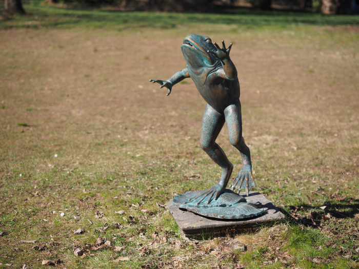 Statuie bronz, Broască săritoare  [8]