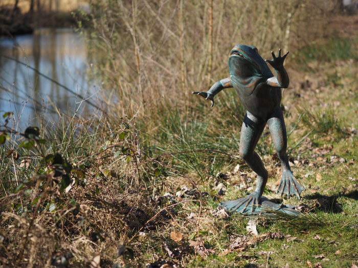 Statuie bronz, Broască săritoare  [4]