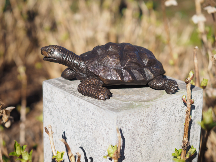 Statuie bronz, Broască țestoasă 10 x 19 x 29 cm [2]