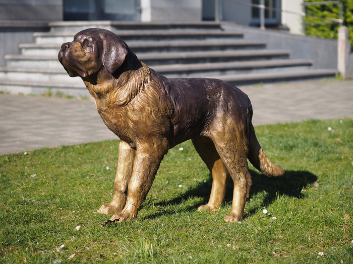 Statuie bronz, Câine Saint Bernard  [3]
