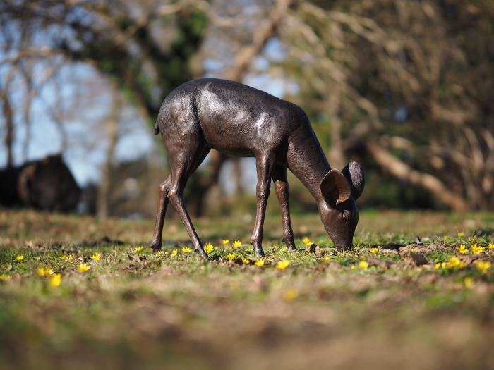 Statuie bronz, Căprioară pășunând  [6]