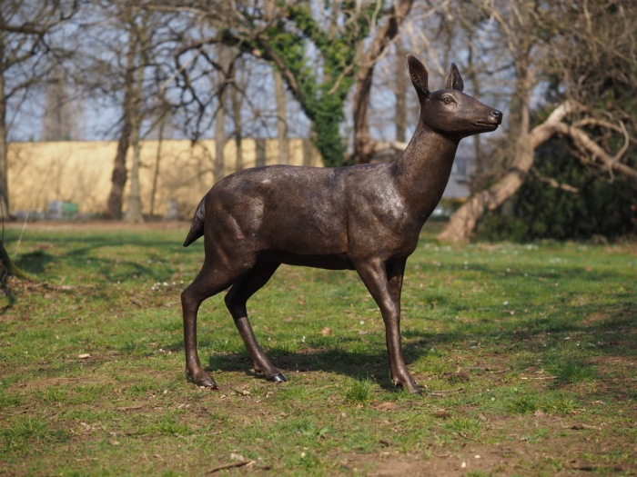 Statuie bronz, Cerb femelă [2]