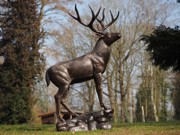 Statuie bronz, Cerb în picioare pe bază [4]