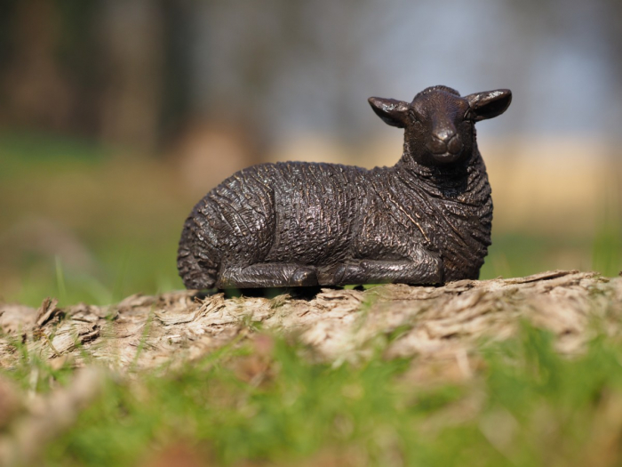 Statuie bronz, Oaie 7 x 5 x 10 cm [4]