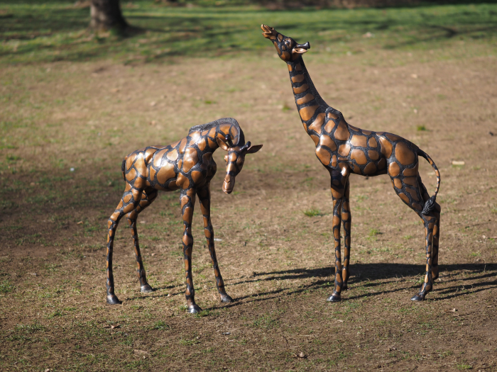 Statuie bronz, Pereche de girafe  [7]