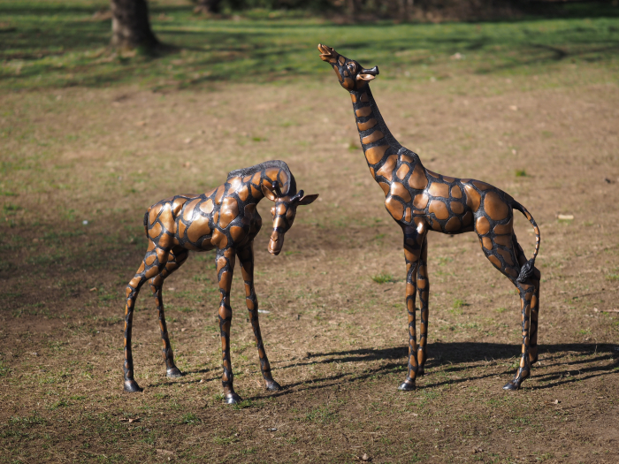 Statuie bronz, Pereche de girafe  [5]