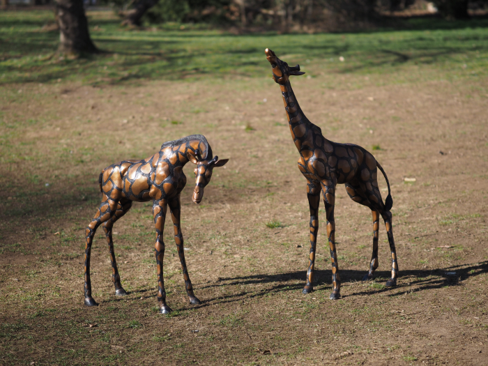 Statuie bronz, Pereche de girafe  [3]
