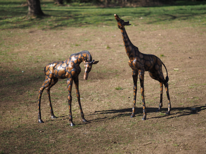 Statuie bronz, Pereche de girafe  [4]