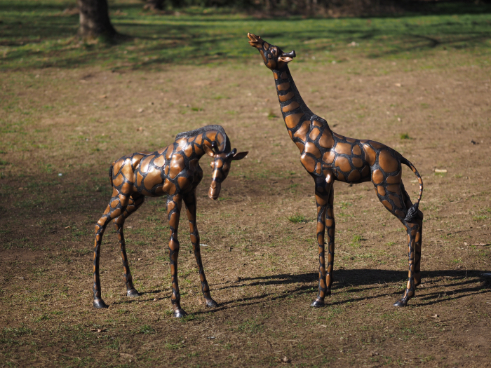 Statuie bronz, Pereche de girafe  [6]