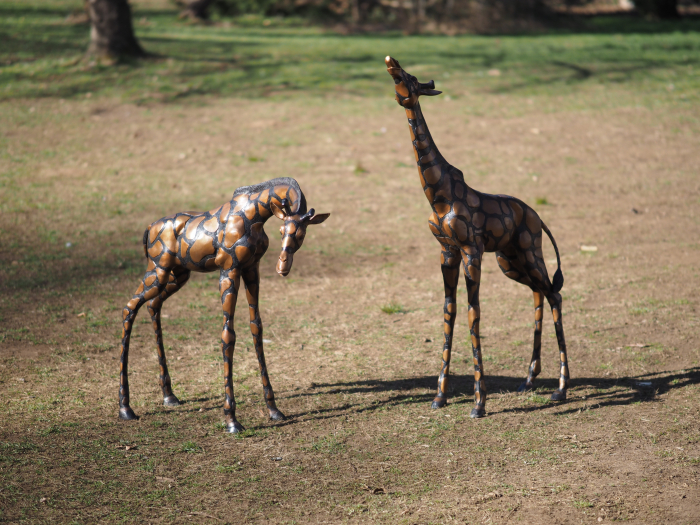Statuie bronz, Pereche de girafe  [2]