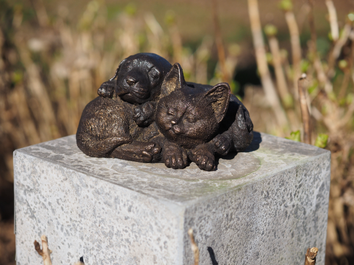 Statuie bronz, Pisică și câine 12 x 15 x 19 cm [2]