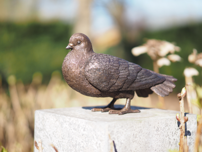 Statuie bronz, Porumbel 17 x 10 x 27 cm [5]
