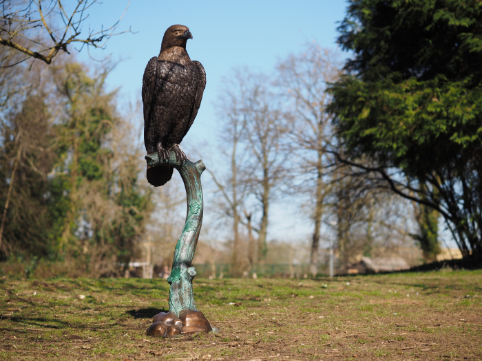 Statuie bronz, Vultur [2]
