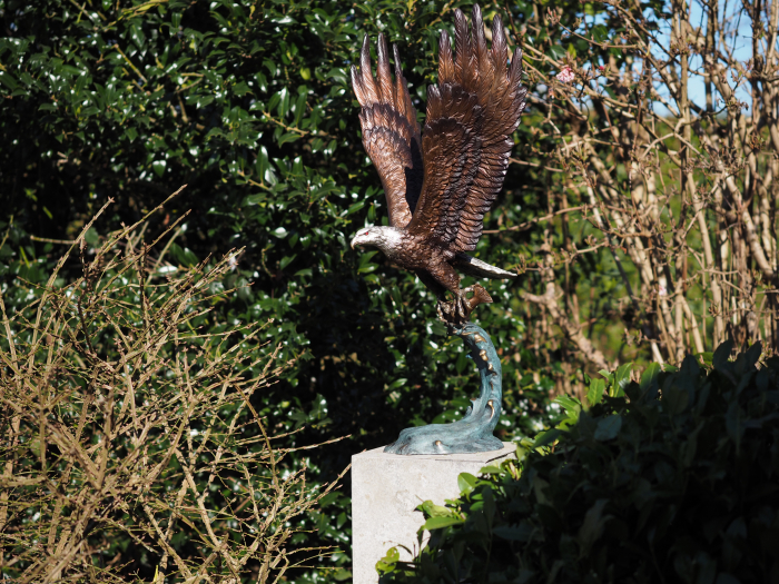 Statuie bronz, Vultur cu pește  [4]