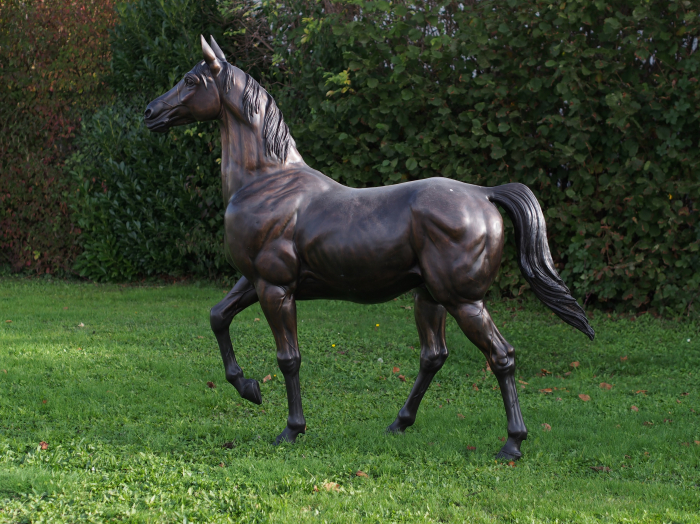 Statuie cal, Bronz, 210 X 60 X 250 cm