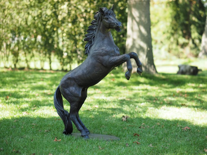Statuie cal care sta pe picioarele din spate, Bronz, 100 cm 100 X 30 X 65 cm