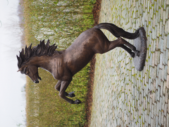 Statuie cal care sta pe picioarele din spate, Bronz, 183 cm 185 X 65 X 120 cm [3]