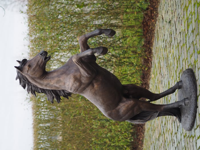 Statuie cal care sta pe picioarele din spate, Bronz, 183 cm 185 X 65 X 120 cm