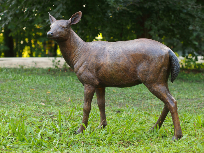Statuie caprioara, Bronz, 92 X 46 X 102 cm [2]