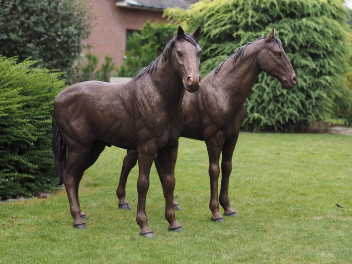 Statuie cuplu de cai, Bronz, 128 X 35 X 125 cm