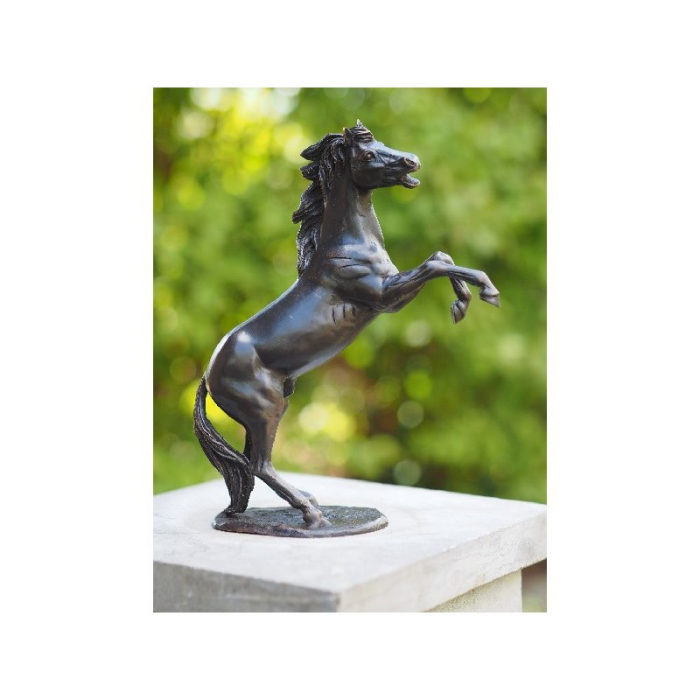 Statuie de bronz moderna Small rearing horse 24x7x19 cm [1]