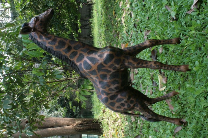 Statuie girafa, Bronz, xw 203 X 50 X 122 cm