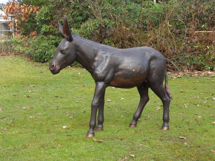 Statuie magar, Bronz, 113 X 34 X 123 cm