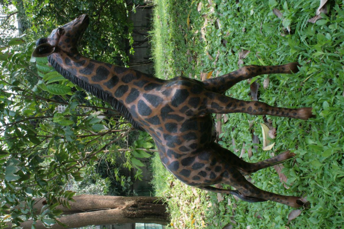 Statuie mica girafa, Bronz, 104 X 24 X 68 cm