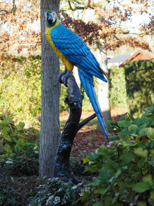 Statuie papagali coloratti in copac, Bronz, 168 X 70 X 70 cm [2]