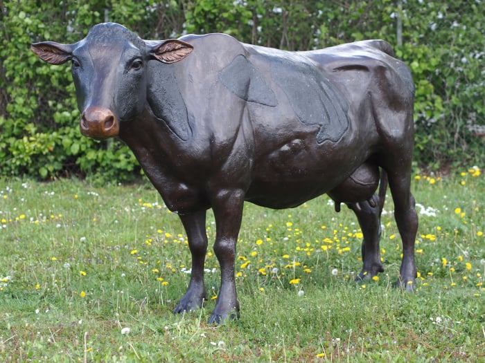 Statuie vaca mare, Bronz, 152 X 71 X 260 cm