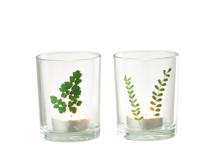 Suport de lumânare, LEAF, ASS2 [2]