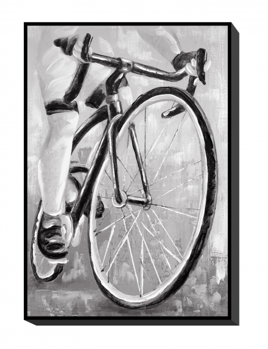 Tablou CANVAS PAINTING BICYCLE pictat manual