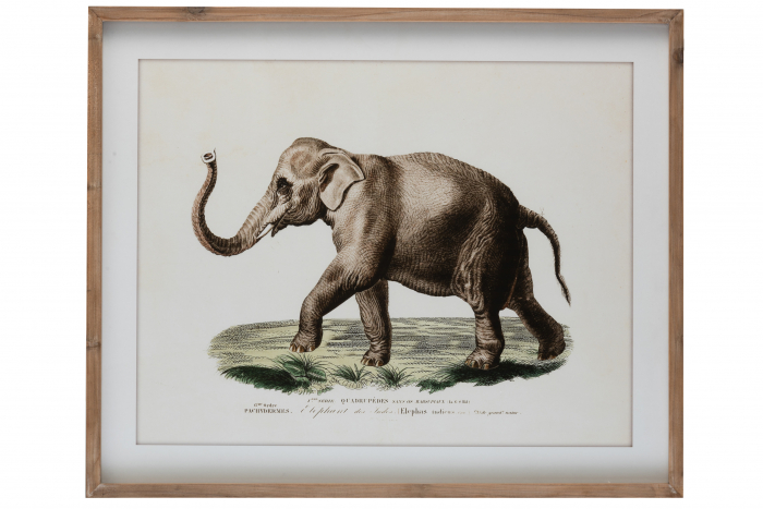 Tablou Elefant, Sticla Lemn, Multicolor, 80x66x66 cm Jolipa imagine 2022