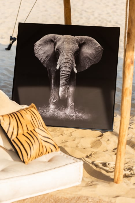 Tablou Elephant, Canvas Lemn, Alb Negru, 103×4.5×103 cm Jolipa imagine 2022