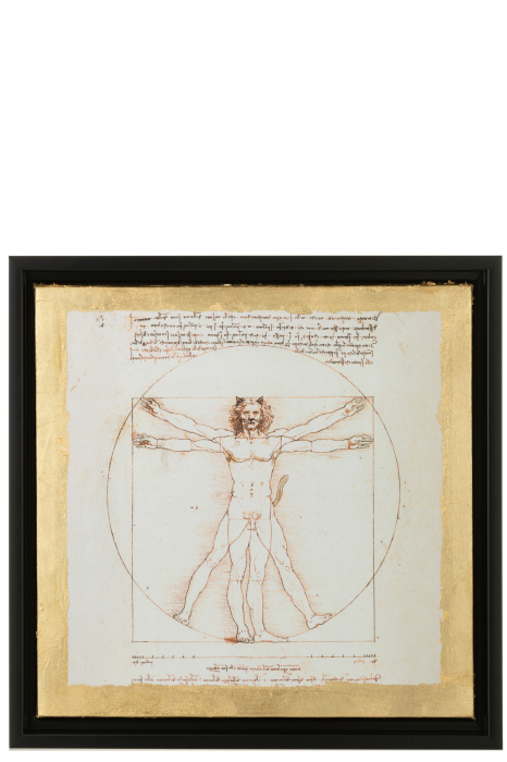 Tablou, HOMME DE VITRUVE [1]