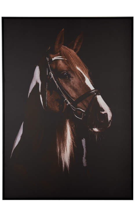 Tablou inramat Horse Head, Canvas, Negru, 102.6x4.3x142.6 cm