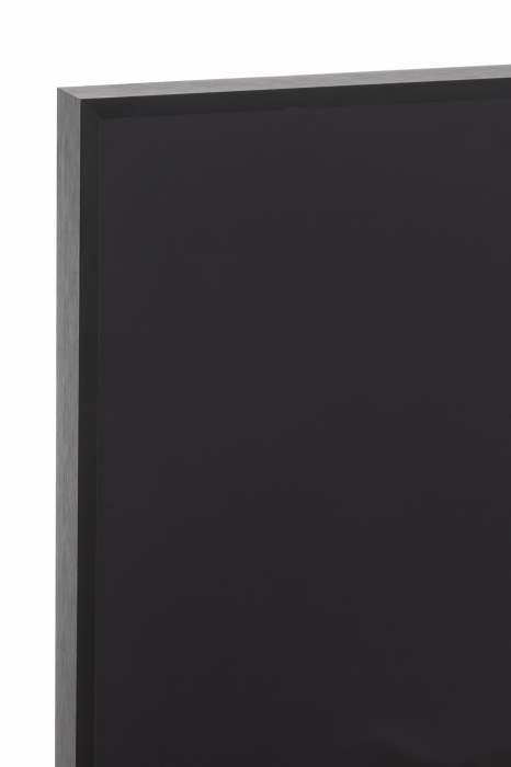 Tablou inramat Lion, Sticla, Alb/Negru, 101.56x2.5x100.5 cm [2]