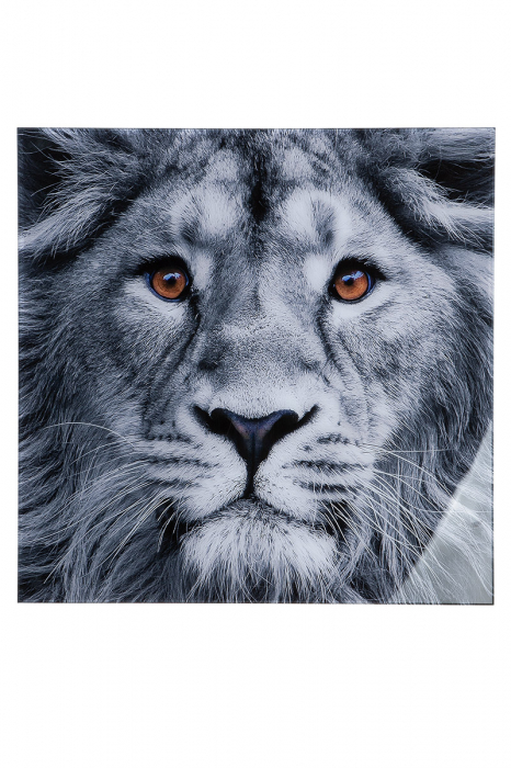 Tablou Lion Head, aluminiu acril, gri negru, 80x80x2.5 cm GILDE imagine 2022