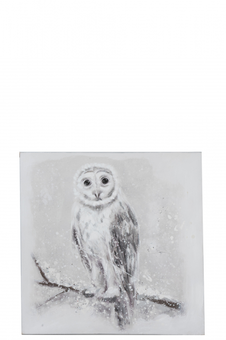 Tablou Owl, Canvas Lemn, Alb Argintiu Gri, 80x3x80 cm Jolipa imagine 2022
