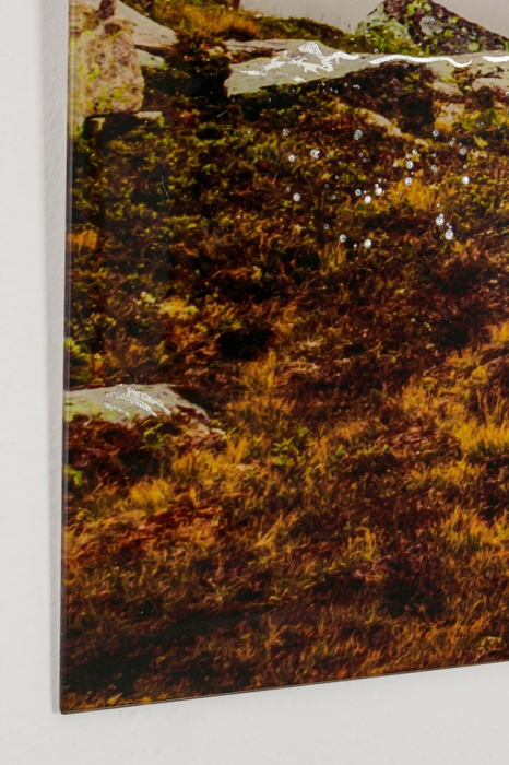 Tablou PLEXY, plexiglas, maro, 120x4x80cm [2]