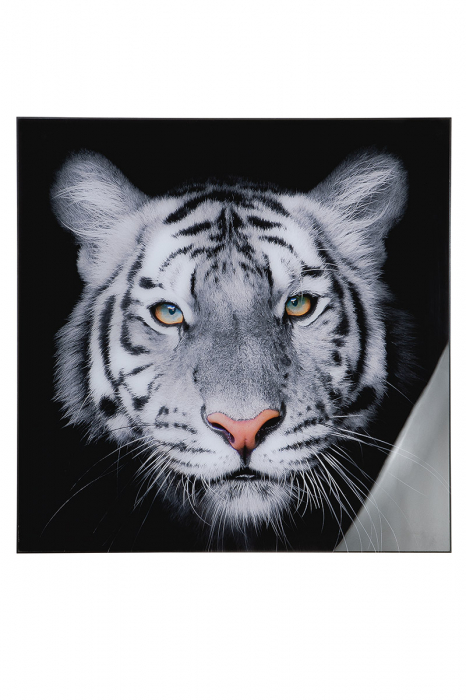 Tablou Tiger Head, aluminiu acril, multicolor, 80x80x2.5 cm GILDE imagine 2022