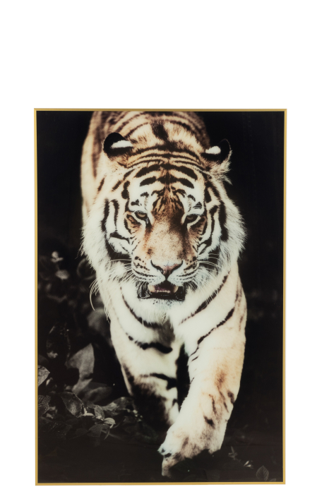 Tablou, Tigru [1]